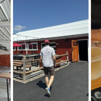 Bad Seed Cider Taproom