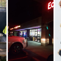 Billy's Beef Hot Dogs & More