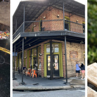 Blind Tiger Coffee Roasters- Ybor City Cafe - Coffee Shop