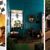 Boogie Café - Librería