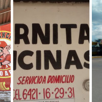 Carnitas Encinas