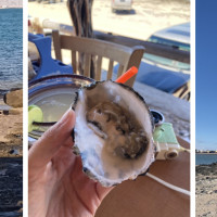 Cholla Bay Oyster House