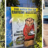 Cotati Coffee Company