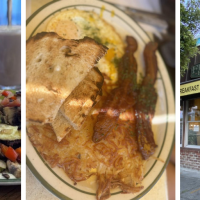 Freds Coffee Shop