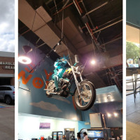 Freebirds World Burrito