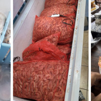 Gulf Quality Seafood