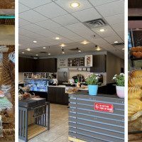 Handsome Bakery & Cafe