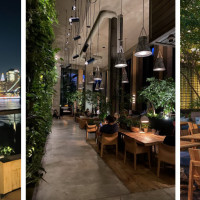 Harriet's Rooftop