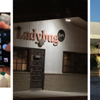 Ladybug Café