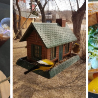 Lake Country Cottage Restaurant