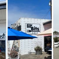 Lil'Bits