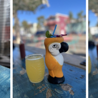 Miss B’s Coconut Club