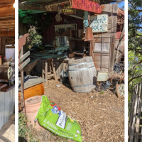 Mountain Sage Coffee