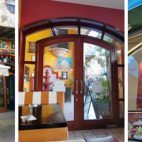 Mr Dog del Caribe Playa Centro