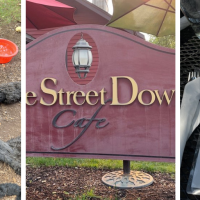 One Street Down Cafe