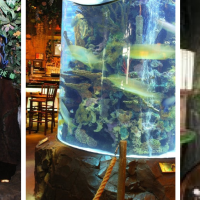 Rainforest Cafe