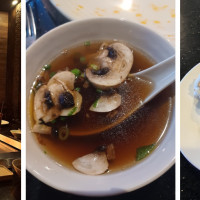 Shogun Japanese Grill and Sushi Bar