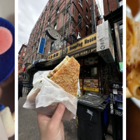 Vanessa's Dumpling House